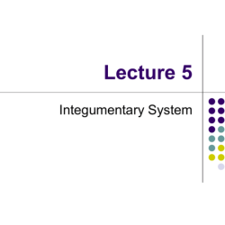 Urinary terminology quiz integumentary