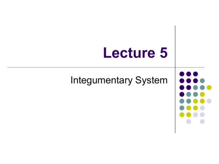 Urinary terminology quiz integumentary