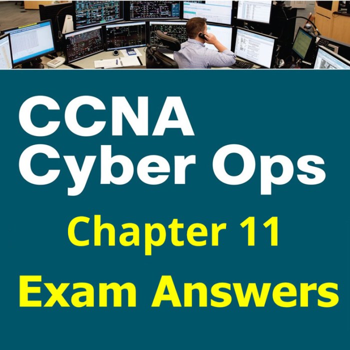 It essentials chapter 11 exam answers