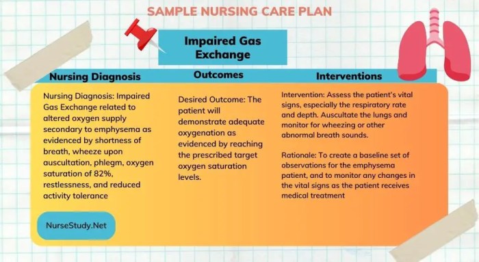 Nursing care complex oxygenation alterations