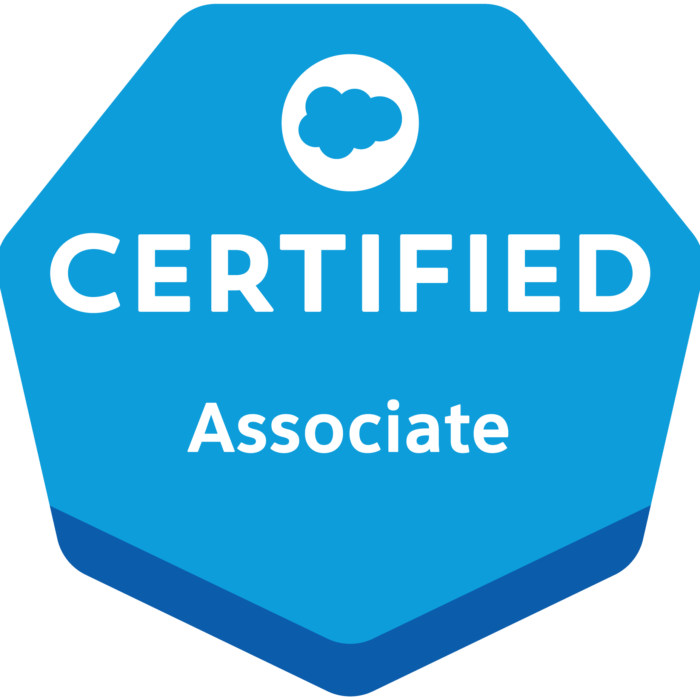 Salesforce associate certification practice exam