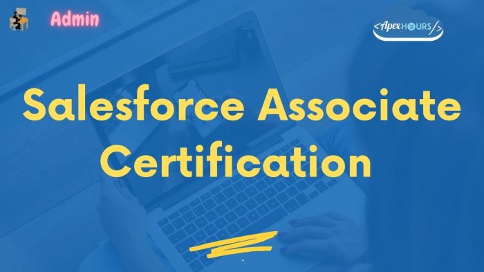 Salesforce associate certification practice exam