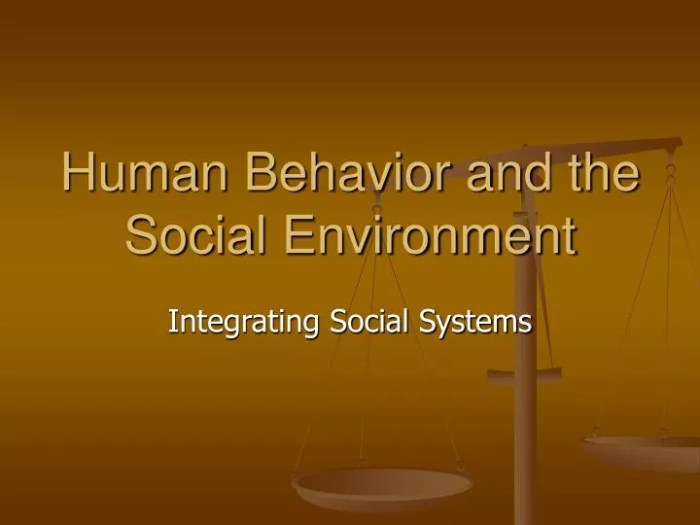 Human behavior in the social environment 5th edition