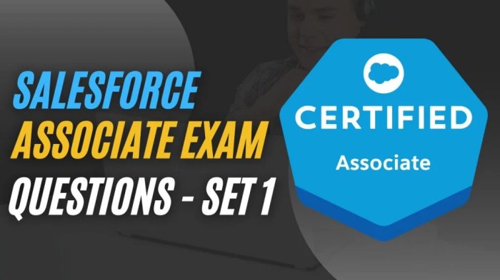 Salesforce exam admin practice job